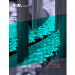 NIIMBL Annual Report 2017-18 Cover 300.png Thumbnail